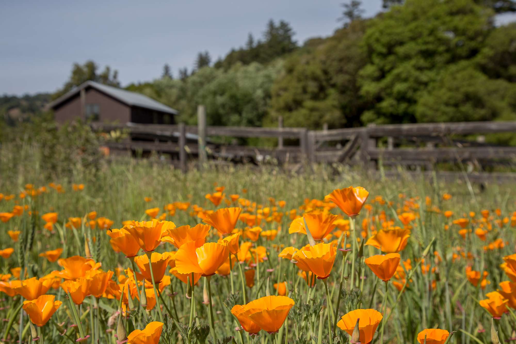 Retreat setting with tents and sky
